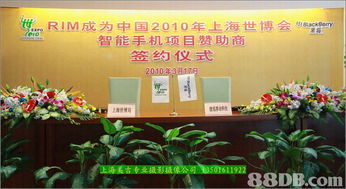 赛盈美 spa 从婚庆摄影到家庭记录，一站式影像服务体验